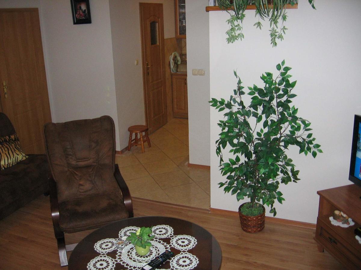 Apartament Zuzia Dzwirzyno Bagian luar foto